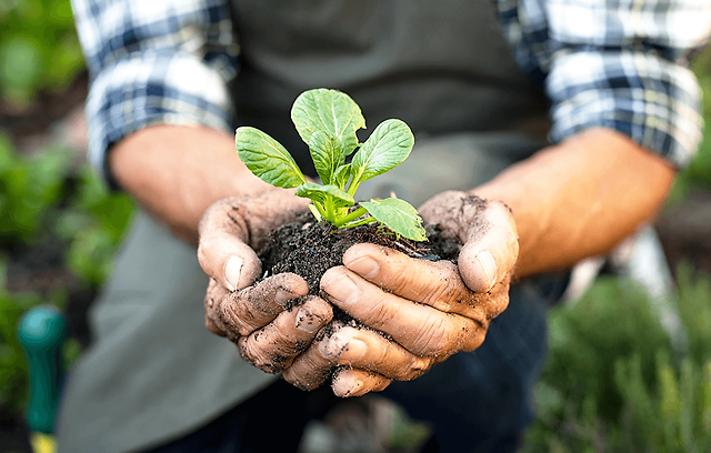Maestría en Agroecología y Desarrollo Sostenible